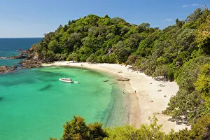 South Pacific Gallery: Elevated view over Whale Bay, Tutukaka Coast, Northland, North Island, New Zealand
