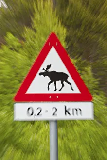 Elk Road Sign, Nordland, Norway