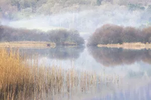 Still Water Prints: Elter Water, Lake District National Park, Cumbria, England, UK