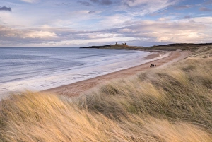 Northumberland Prints: Embleton Bay and Dunstanburgh Castle, Northumberland, England. Winter (February) 2016