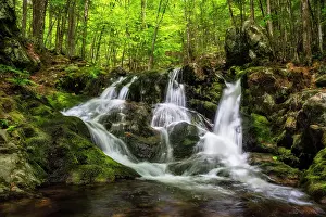 Brook Prints: Emeral Pool Falls, Brook Walk, Moultonborough, New Hampshire, USA, New Hampshire, USA