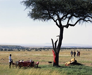 Breakfast Prints: At the end of an early morning game walk