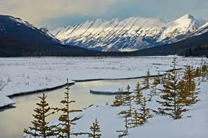 Winter Seasons Prints: Endless Chain Ridge, Jasper National Park, Alberta, Canada
