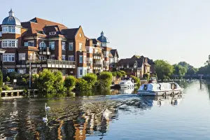 Thames Prints: England, Berkshire, Windsor, View of The Thames from Windsor Town Bridge