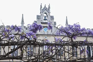 England, Cambridgeshire, Cambridge, Sidney Sussex College