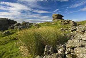 Images Dated 31st March 2021: England, Dartmoor, Rippon Tor