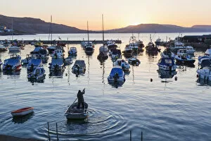 English Coast Collection: England, Dorset, Lyme Regis, The Harbour at Dawn