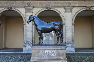 Images Dated 17th October 2013: England, East Anglia, Suffolk, Newmarket, The National Horseracing Museum, Statue