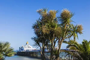 Images Dated 25th September 2017: England, East Sussex, Eastbourne, Eastbourne Pier