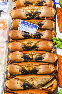 Crabs Prints: England, East Sussex, Hastings, Fish Shop Display of Crabs
