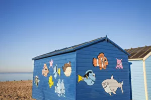 Images Dated 21st November 2012: England, Hampshire, Hayling Island, Beach and Groin, Beach Huts