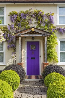Wisteria Prints: England, Hampshire, New Alresford, Colourful House Doorway