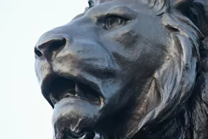 England, London, Buckingham Palace, Queen Victoria Memorial Statue, Detail of Lion s