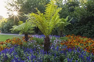 Greenwich Prints: England, London, Greenwich, Greenwich Park, The Flower Garden