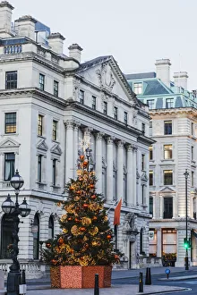 England, London, Regent Street, Waterloo Place and St James Christmas Tree