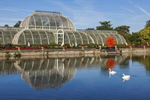 Images Dated 21st October 2019: England, London, Richmond, Kew Gardens, The Palm House Reflected in Lake