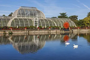 Images Dated 21st October 2019: England, London, Richmond, Kew Gardens, The Palm House Reflected in Lake