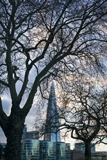Southbank Prints: England, London, The Shard buildling from the Thames River