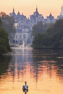 Images Dated 16th August 2019: England, London, St.James Park, Dawn over St.Jame'