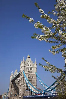 Thames River Prints: England, London, Tower Bridge and River Thames