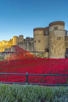 Poppies Prints: England, London, Tower of London, Blood Swept Lands and Seas of Red by ceramic artist
