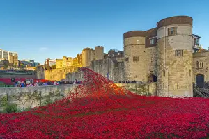 England, London, Tower of London, Blood Swept Lands and Seas of Red by ceramic artist