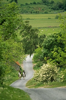 Images Dated 5th February 2009: England, Northumberland, Harbottle