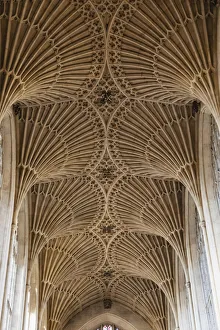 Nave Prints: England, Somerset, Bath, Bath Abbey, The Fan-vaulted Ceiling of The Nave