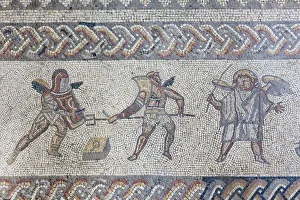 Images Dated 26th June 2012: England, West Sussex, Bignor, Bignor Roman Villa, The Venus Room, Mosaic depicting