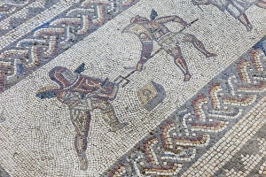 Images Dated 26th June 2012: England, West Sussex, Bignor, Bignor Roman Villa, The Venus Room, Mosaic depicting
