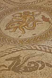 Dolphin Prints: England, West Sussex, Chichester, Fishbourne, The Roman Palace, Cupid on a Dolphin Mosaic