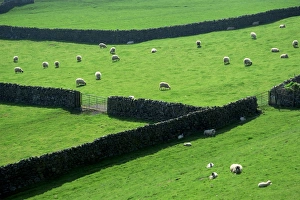England, Yorkshire