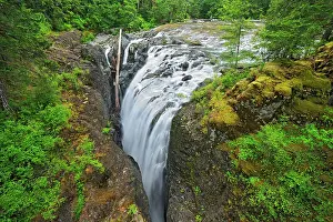 Falls Prints: Englishman River Falls Englishman River Falls Provincial Park, British Columbia, Canada