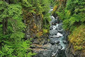 Englishman River Falls Englishman River Falls Provincial Park, British Columbia, Canada