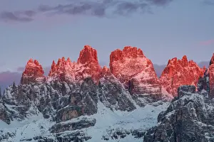Trentino Prints: The Enrosadira over Brenta Dolomites peaks during a winter sunrise from Paganella