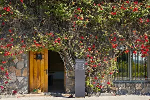 Images Dated 17th May 2022: Entrance to administrative building, Haras de Pirque winery, Pirque, Maipo Valley
