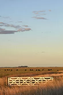 The entrance gate to an estancia of the Argentine pampas at sunset, Las Flores, Argentina
