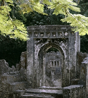 Arch Way Gallery: The entrance to the Palace of Gedi