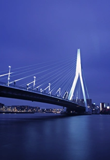 Erasmus Bridge