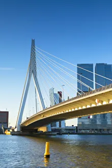 Erasmus Bridge (Erasmusbrug), Rotterdam, Zuid Holland, Netherlands