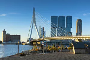Images Dated 31st August 2018: Erasmus Bridge (Erasmusbrug), Rotterdam, Zuid Holland, Netherlands