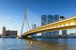 Erasmus Bridge (Erasmusbrug), Rotterdam, Zuid Holland, Netherlands