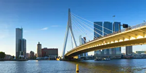Erasmus Bridge (Erasmusbrug) and skyline, Rotterdam, Zuid Holland, Netherlands