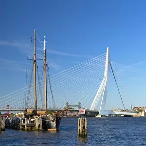 Erasmus Bridge (Erasmusbrug) and skyline, Rotterdam, Zuid Holland, Netherlands