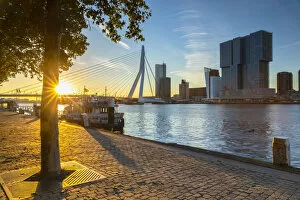 Holland Gallery: Erasmus Bridge (Erasmusbrug) at sunrise, Rotterdam, Zuid Holland, Netherlands