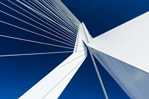 Erasmus Bridge, Wilhelminakade, Rotterdam, Netherlands