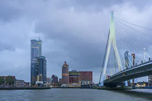 Rotterdam Prints: Erasmusbridge at Rotterdam, South Holland, The Netherlands