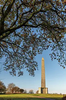 December Prints: Erected to commemorate the Duke of Wellington's victory at the Battle of Waterloo