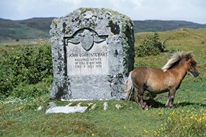 Scot Land Prints: An Eriskay pony stands beside the memorial to John