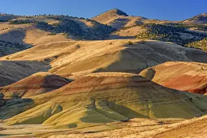 Tranquil Tranquility Prints: Eroded, exposed laterite and mudstone sediments in a sagebrush environment